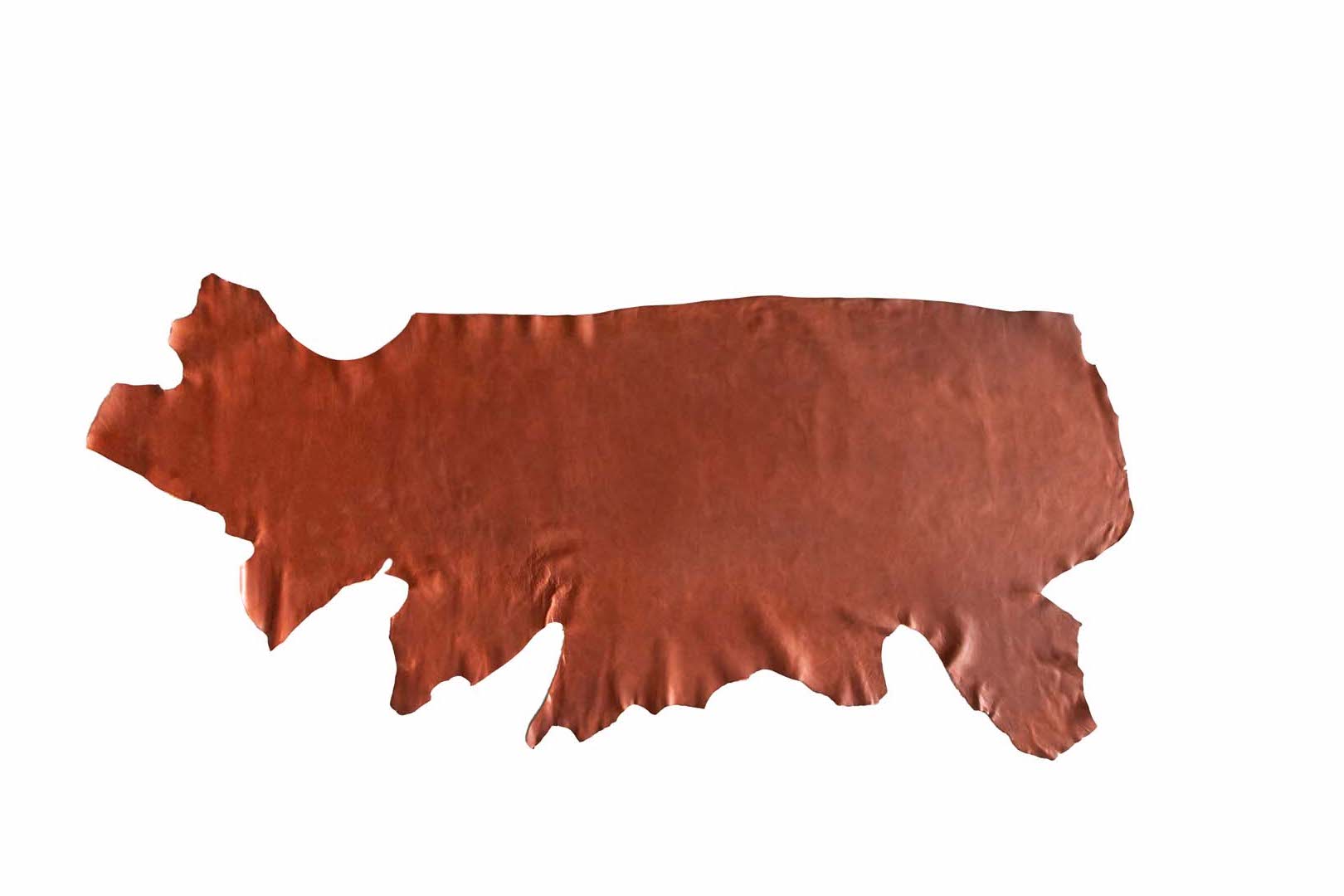 Argos Full Hide